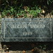 Allen Woods Photo 13