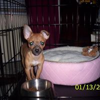 Ron Myers Photo 45