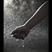 Alvin Rains Photo 5