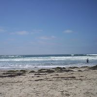 Michelle Vanhorn Photo 7