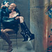 Steven Willis Photo 14