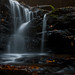 Barry Mize Photo 7