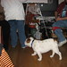 Debbie English Photo 20