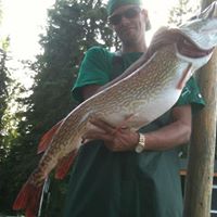 Michael Gould Photo 28