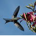 Bonita Bates Photo 9