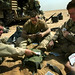 David Harbison Photo 12