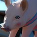 Sue E Photo 21