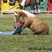 Keith Pendleton Photo 15