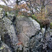 Thomas Leech Photo 31