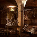 Lisa Scheck Photo 11