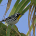 Allen Reid Photo 13