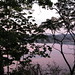 Elizabeth Terhune Photo 9