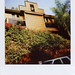 Pamela Morrison Photo 33