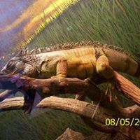 Shelley Thompson Photo 23