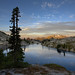 Daniel Robins Photo 29