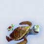 Sue Carpenter Photo 2