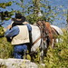 Terri Russell Photo 15