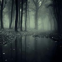 Sarah Groves Photo 7