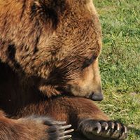 Carole Larson Photo 29
