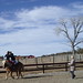Barbara Engle Photo 14