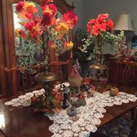 Cathy Andersen Photo 12