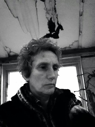 Rachael Levine Photo 12