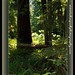 Janet Grove Photo 17
