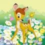 Anne Calloway Photo 10