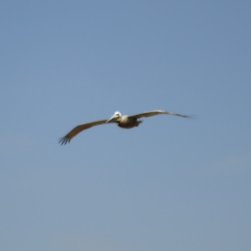 Mark Mcmillan Photo 30
