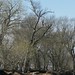 Bruce Wylie Photo 14