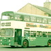 Bradford Alexander Photo 19