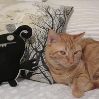 Piper Rodgers Photo 3