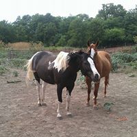Julie Stamper Photo 14