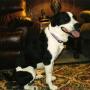 Judy Owens Photo 20