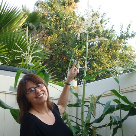 Suzanne Phillips Photo 39