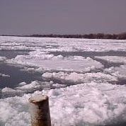Julie Goins Photo 21