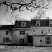 Frederick Montgomery Photo 11