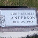 Delores Anderson Photo 17