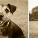 Harvey Russell Photo 21