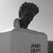 James Griffith Photo 40