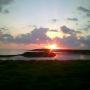 Joann Nelson Photo 20