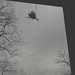 Robert Nester Photo 25