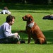 Stephen Browne Photo 31