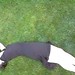 Ellen Short Photo 17