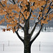 Jackie Olmstead Photo 17