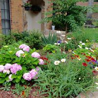 Karen Cates Photo 34