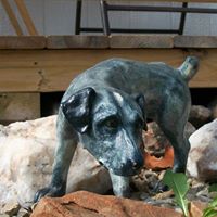 Julie Echols Photo 32