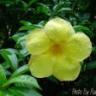 Tabitha Brooks Photo 33