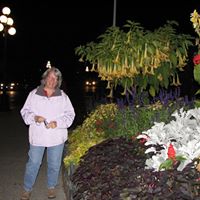 Anne Harlan Photo 6