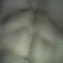 Lawrence Miller Photo 33